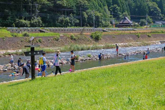 南光自然観察村に流れる川