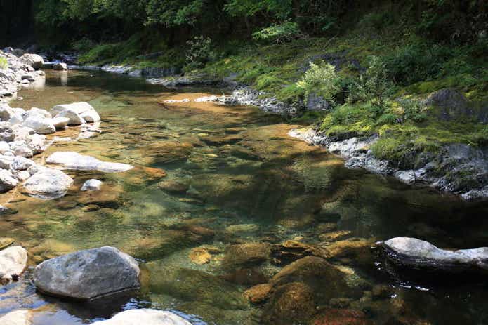 日ノ御子河川公園キャンプ場に流れる川