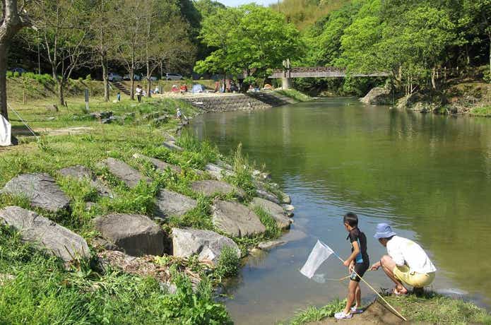 源じいの森に流れる川