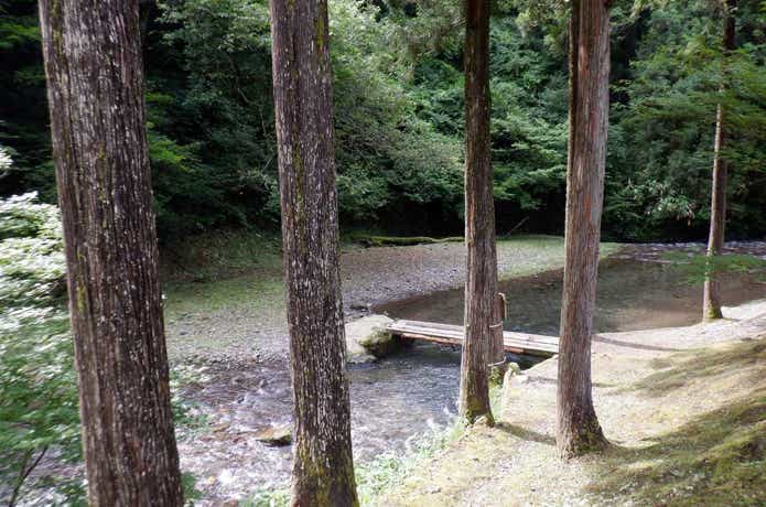 石川県県民の森に流れる川