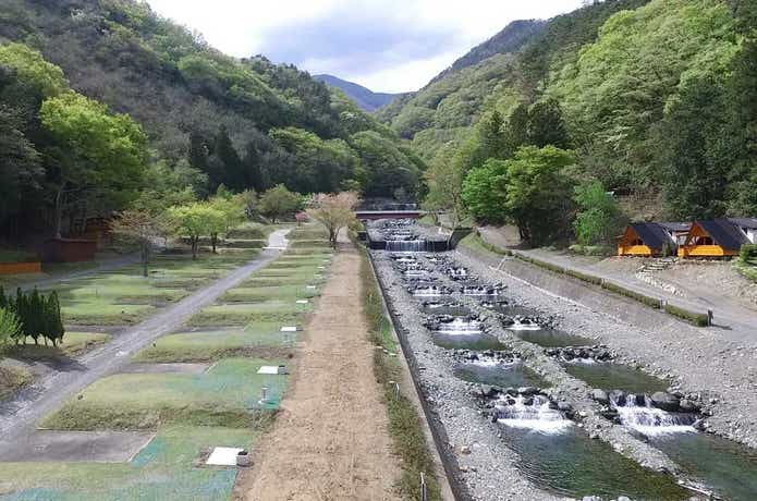 ウエストリバーオートキャンプ場に流れる川