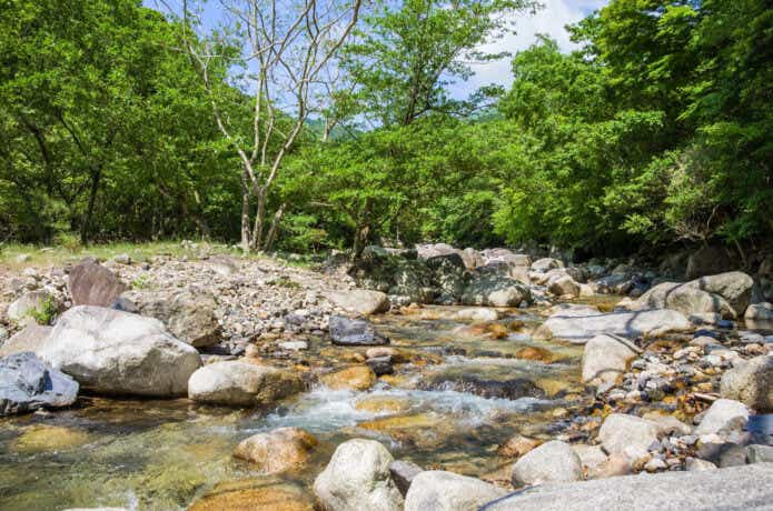 無料の川遊び場