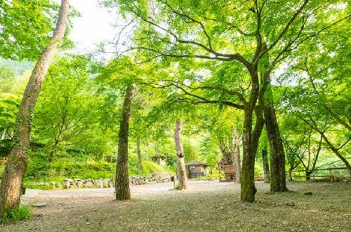 全てのテントサイトでペット同伴OK。場内を川が流れる自然豊かなキャンプ場