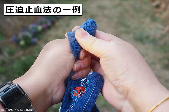 切り傷は「直接圧迫止血法」で止血