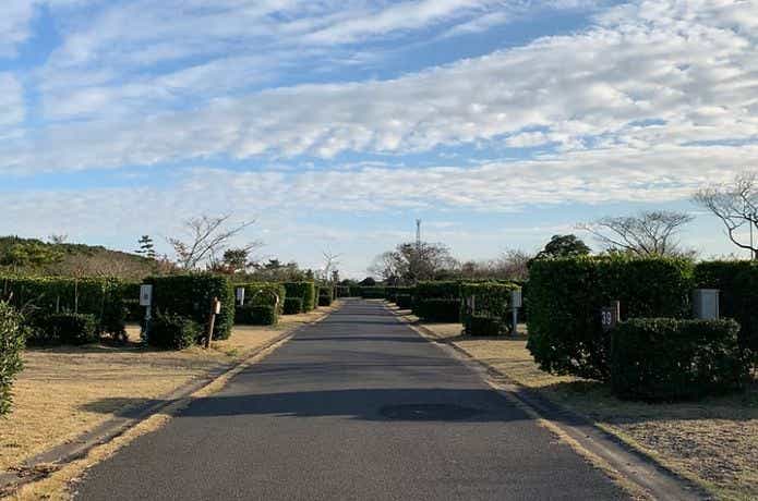 日川浜オートキャンプ場のサイト