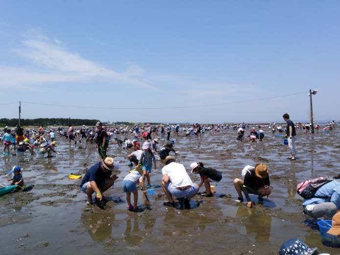 富津公園キャンプ場