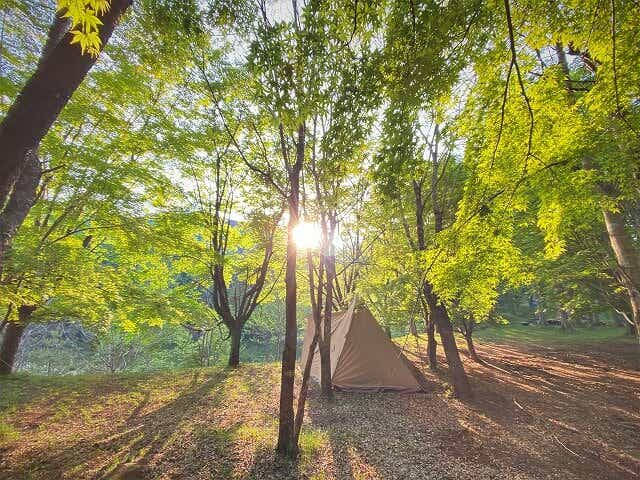 標高が高く、夏場も涼しい。天体観測も楽しめる