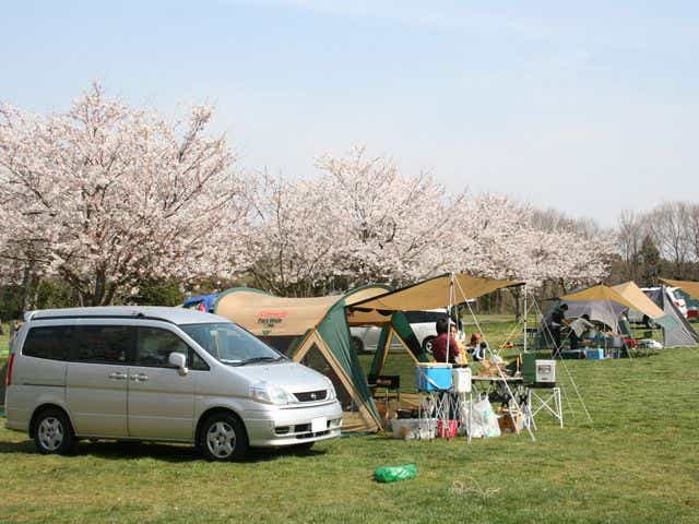 多彩な楽しみ方ができる牧場併設のキャンプ場。ファミリーキャンプにおすすめ