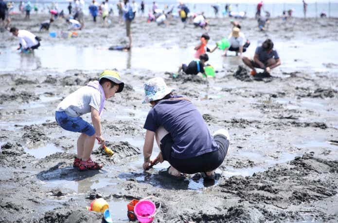 親子で潮干狩り