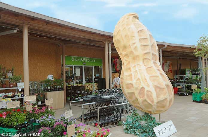 道の駅木更津 うまくたの里