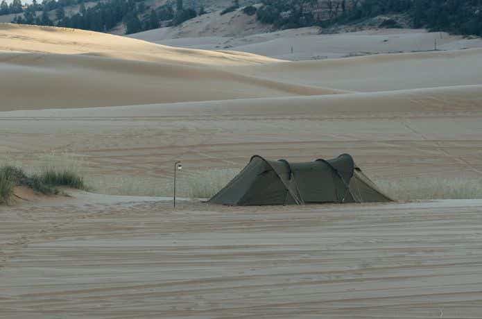 ゼインアーツ  ロガ4