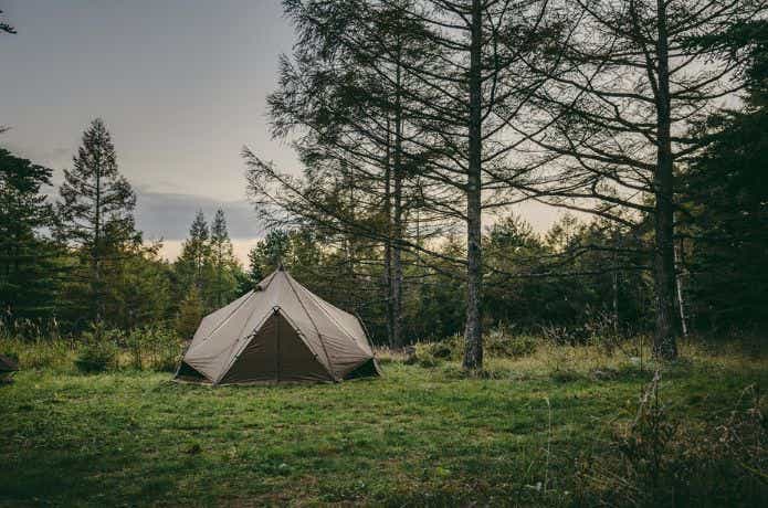 ゼインアーツ ゼクーM