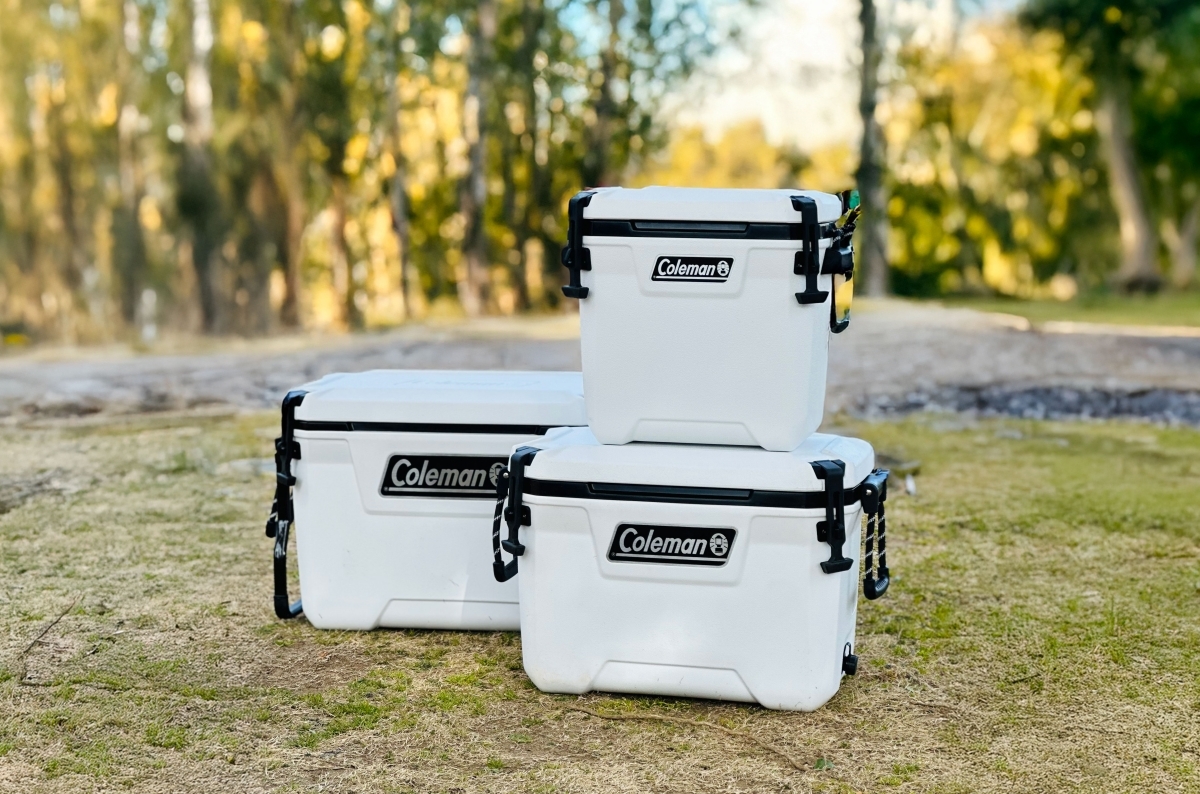 コールマン　コンボイ　ホワイト