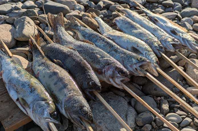 「野良グリル」「野良グリルハーフ」