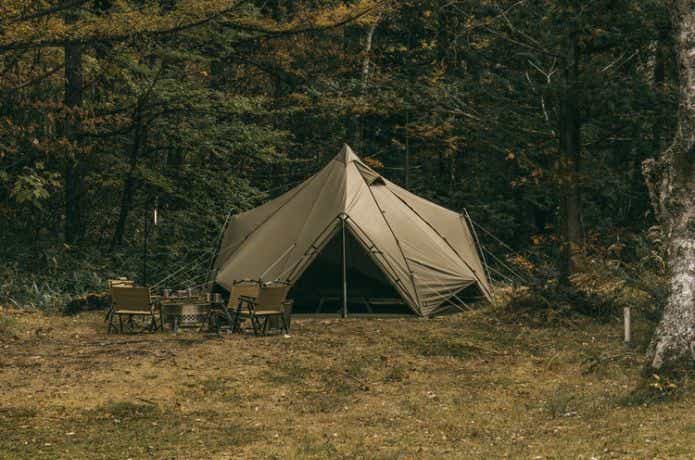 ゼインアーツ ゼクーM TC