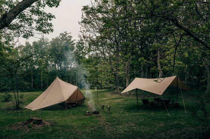 サバティカル モーニンググローリー TC