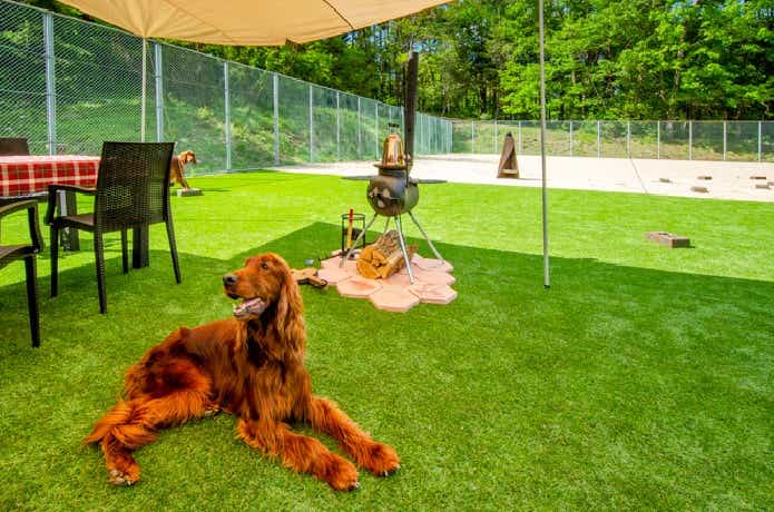 駒ヶ根Camping Resortのドッグフリーサイト