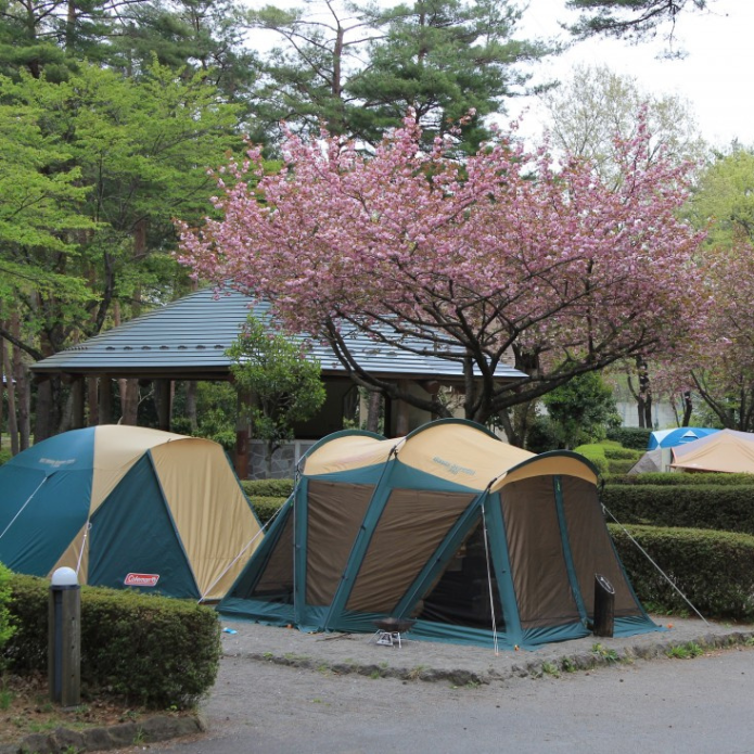 広大な公園でのびのび過ごせるファミリー向けキャンプ場。宿泊施設も豊富