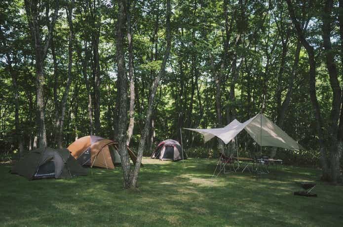 スノーピーク白河高原キャンプフィールドのグループサイト