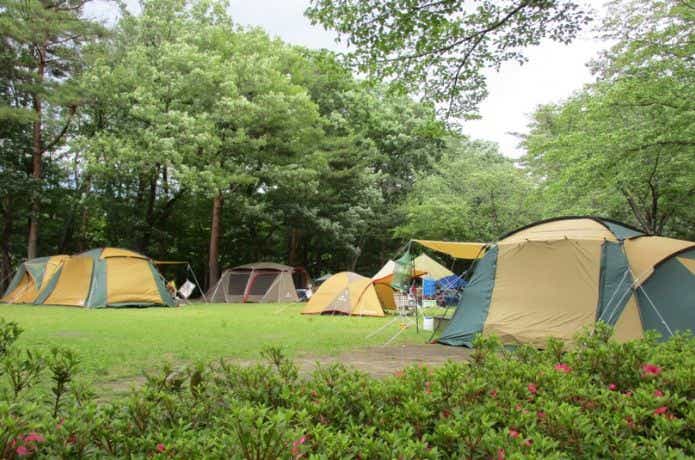 那須野が原公園オートキャンプ場のサイト