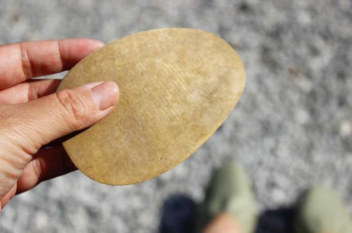 剥がしたパレットソール