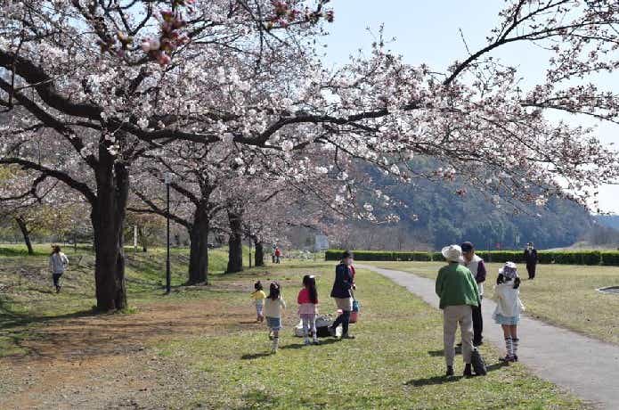 上大島キャンプ場