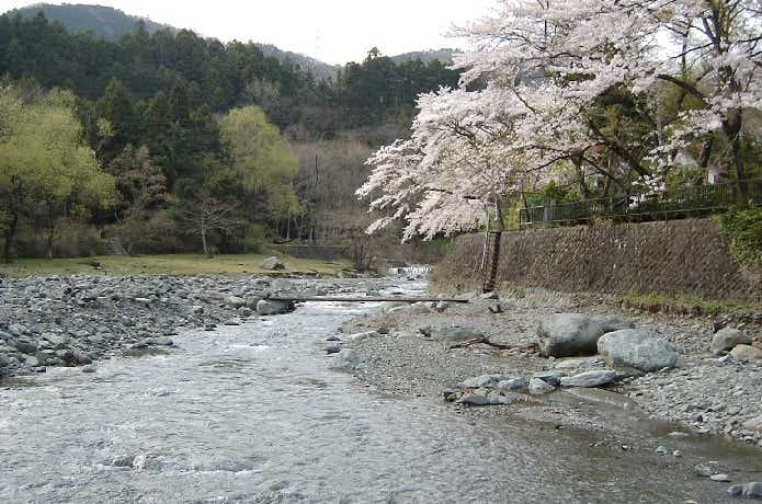 滝沢園キャンプ場