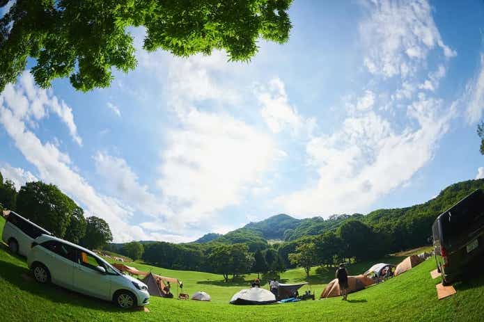 ニューアコ 2025 New Acoustic Camp