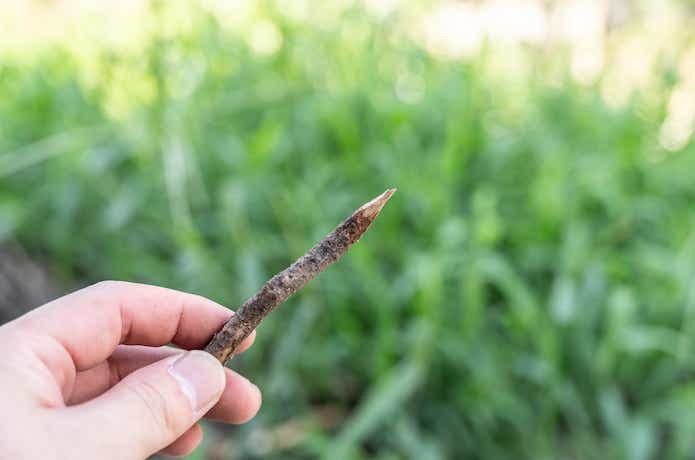 アソマタス「ベイルアウト」