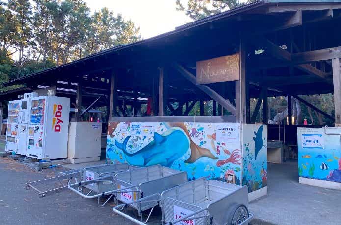 ちがさき柳島キャンプ場