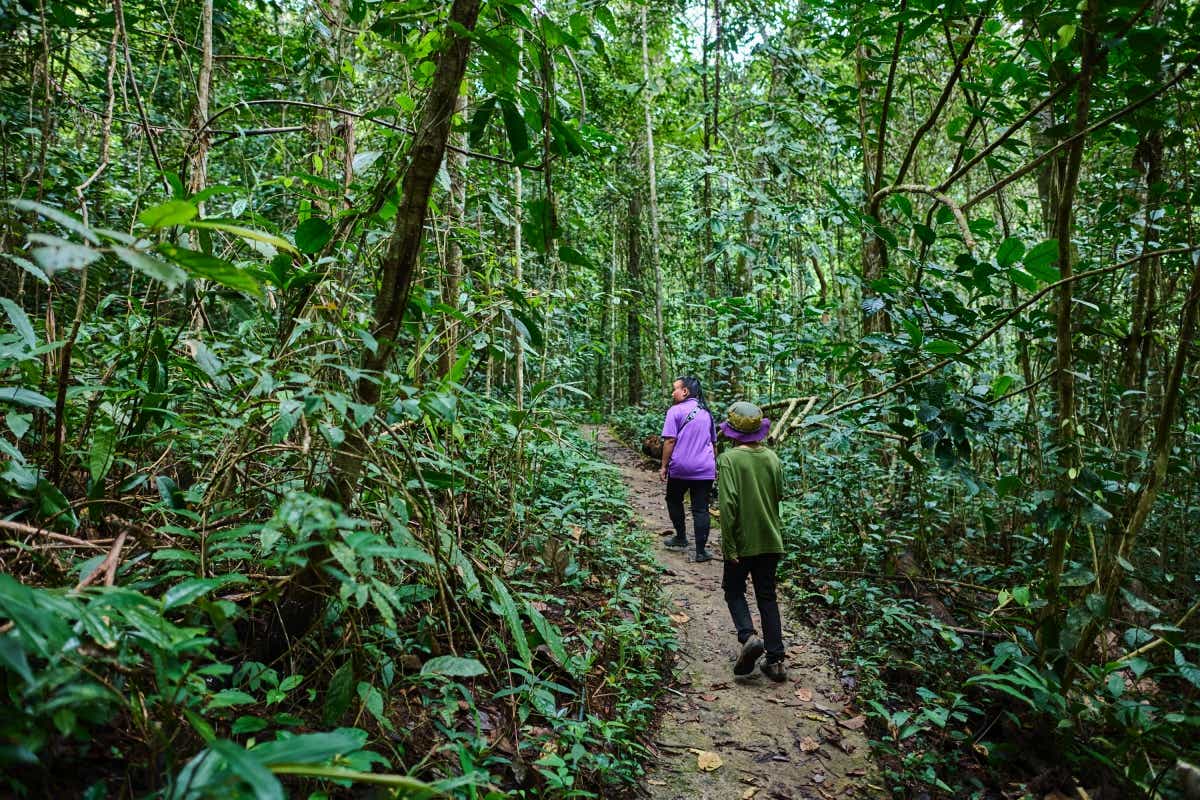 マレーシアのボルネオ島への親子キャンプ旅