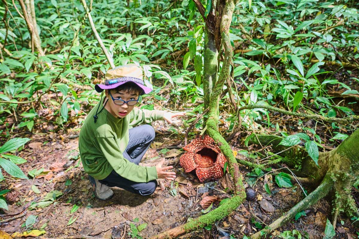 マレーシアのボルネオ島への親子キャンプ旅