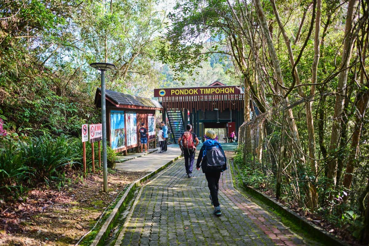 マレーシアのボルネオ島への親子キャンプ旅