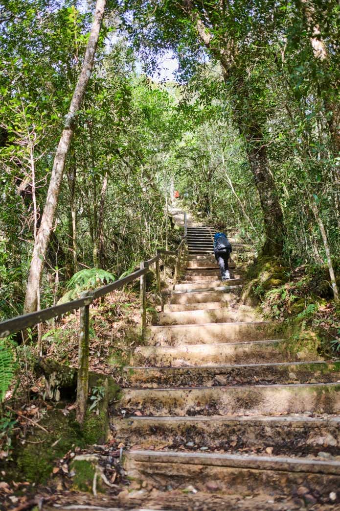 マレーシアのボルネオ島への親子キャンプ旅