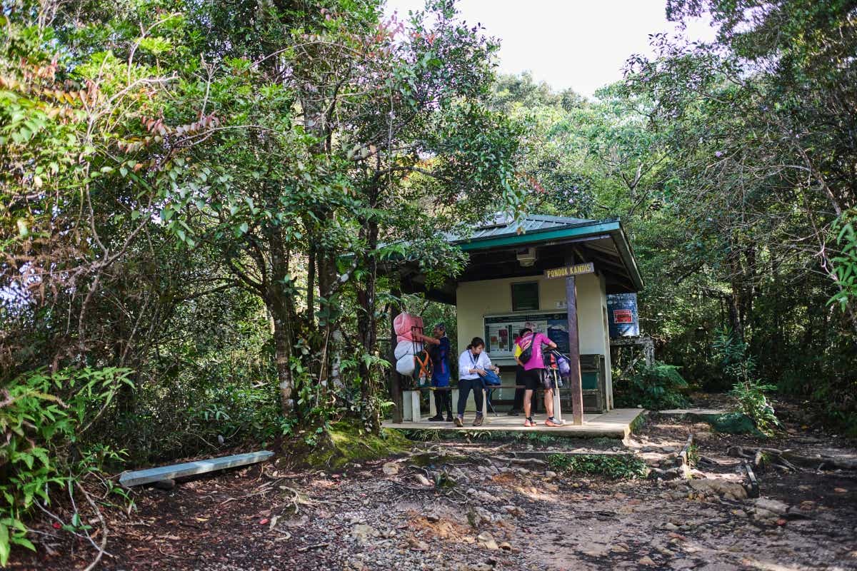 マレーシアのボルネオ島への親子キャンプ旅