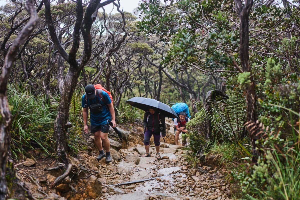 マレーシアのボルネオ島への親子キャンプ旅