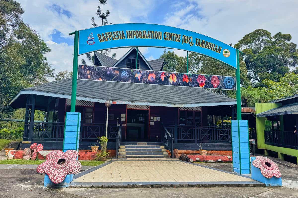 マレーシアのボルネオ島への親子キャンプ旅