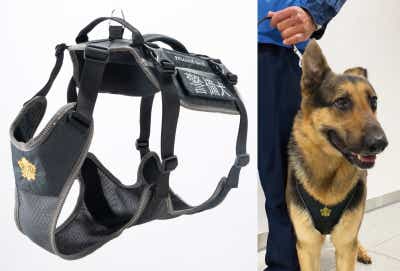 モンベル 新作 2025