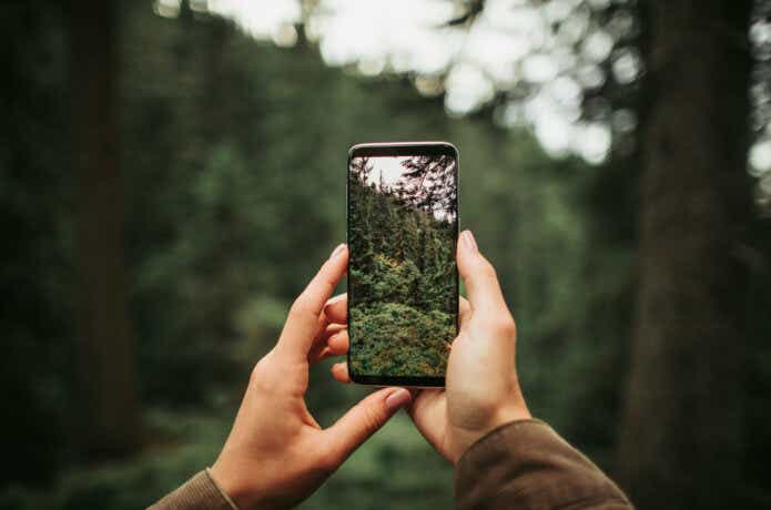 スマホで写真を撮っているところ