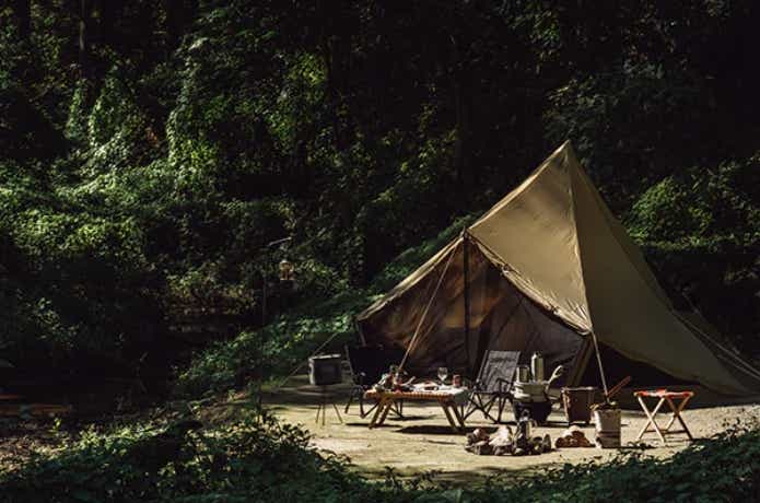 サバティカル　モーニンググローリー　プラス、ギリアプラス、スカイパイロット　シンセティックプラス、アルニカプラス