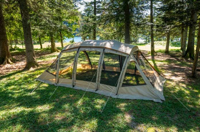 サバティカル　アルニカ　プラス