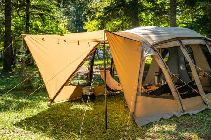 サバティカル　アルニカ　プラス