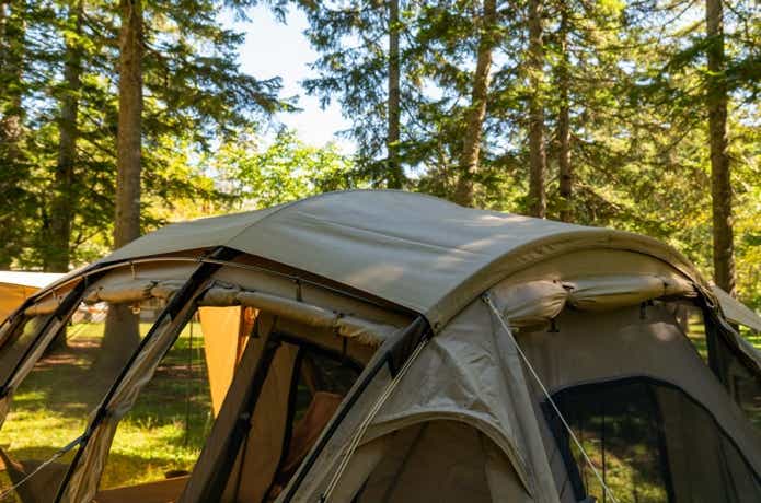 サバティカル　アルニカ　プラス