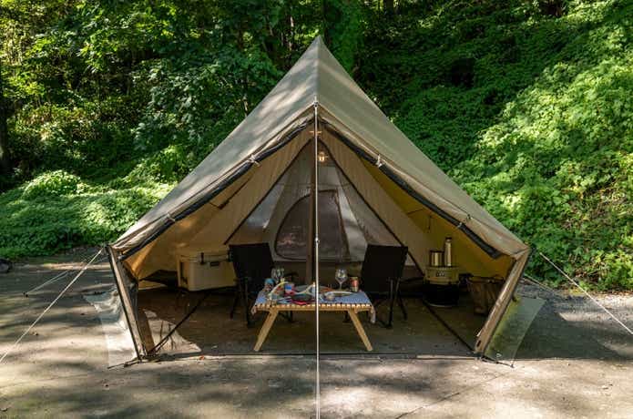 サバティカル　モーニンググローリー　プラス、ギリアプラス、スカイパイロット　シンセティックプラス、アルニカプラス