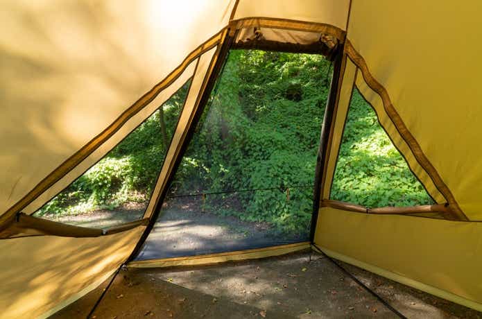 サバティカル　モーニンググローリー　シンセティックプラス