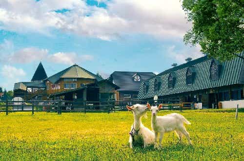 男女別のシャワー室や食堂を完備。標高350mの高原キャンプ場