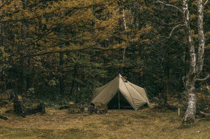 ゼインアーツ ゼクーM