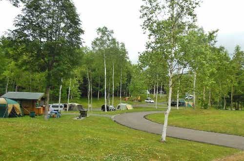 区画サイトに水道・流し台・焚火スペース完備。芝生と白樺がきれい