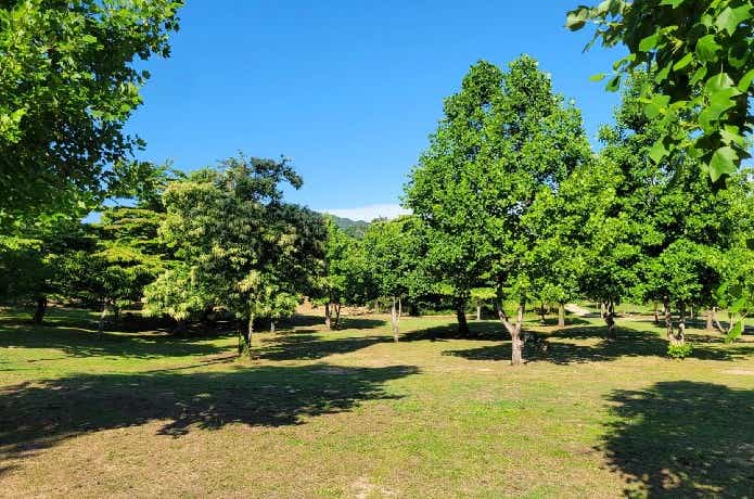 神鍋高原キャンプ場