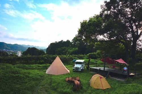 日本最大級のキウイ農園でゆったり過ごすファームステイキャンプ